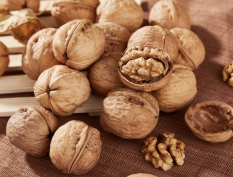 Captura de pantalla 2024 08 18 a las 11.53.37 p. m 768x584